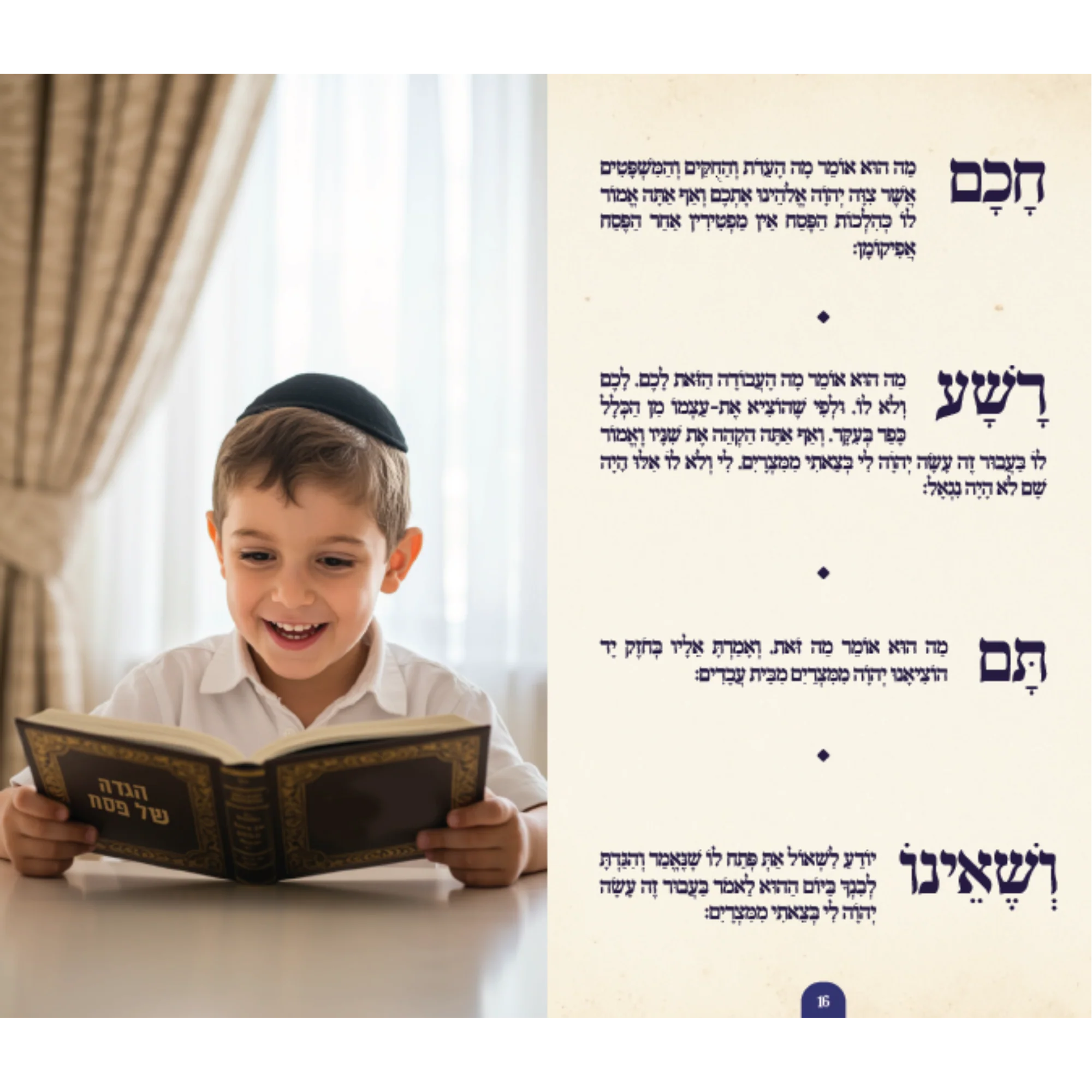 תמונת מוצר 7