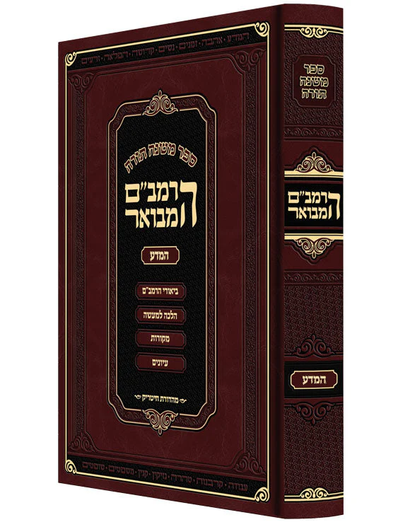 תמונת מוצר 4