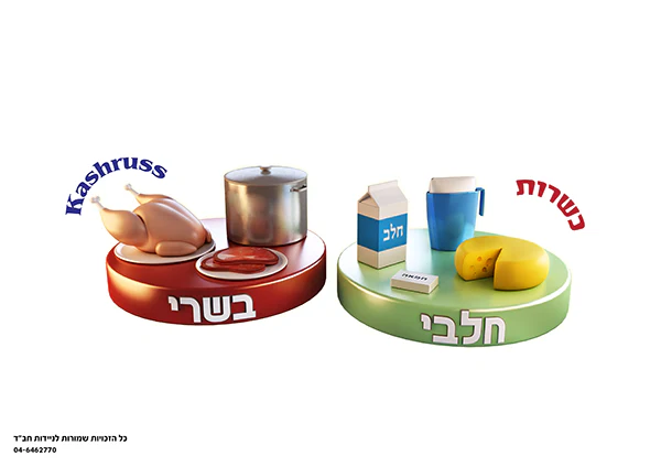 תמונת מוצר 10