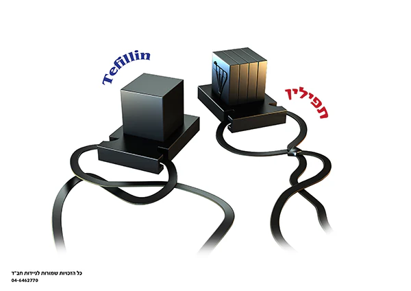 תמונת מוצר 7
