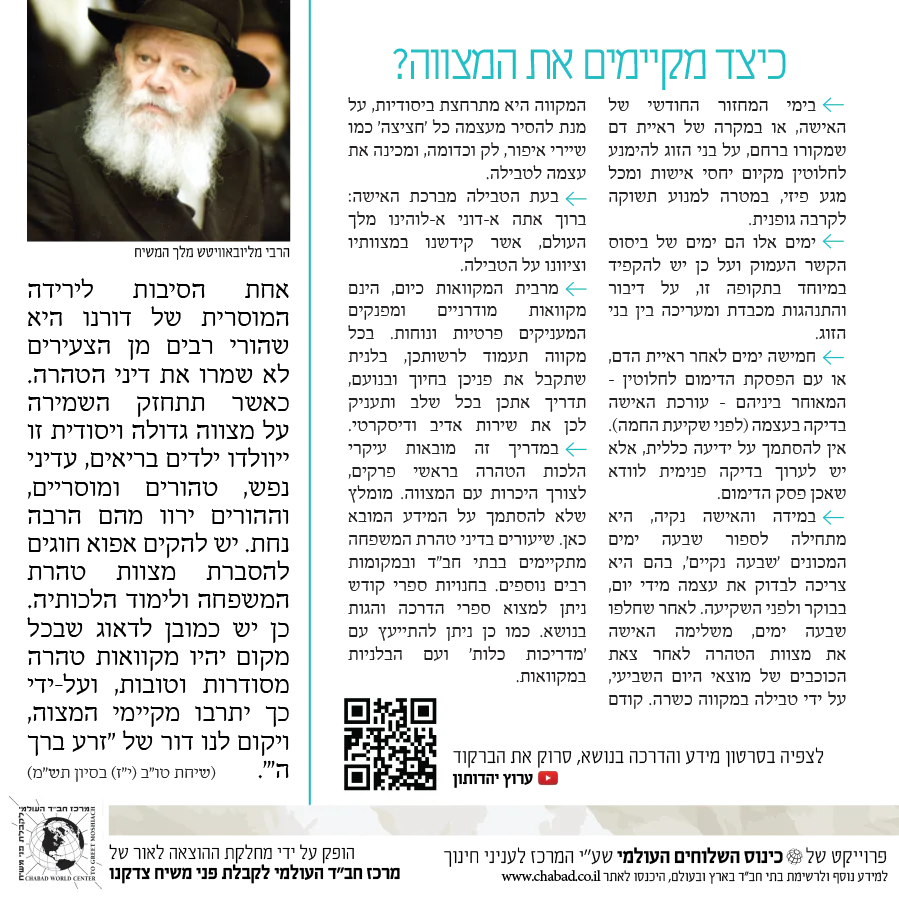 תמונת מוצר 4