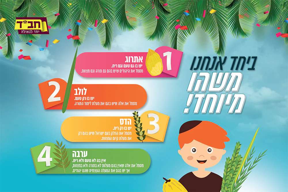 תמונת מוצר 4