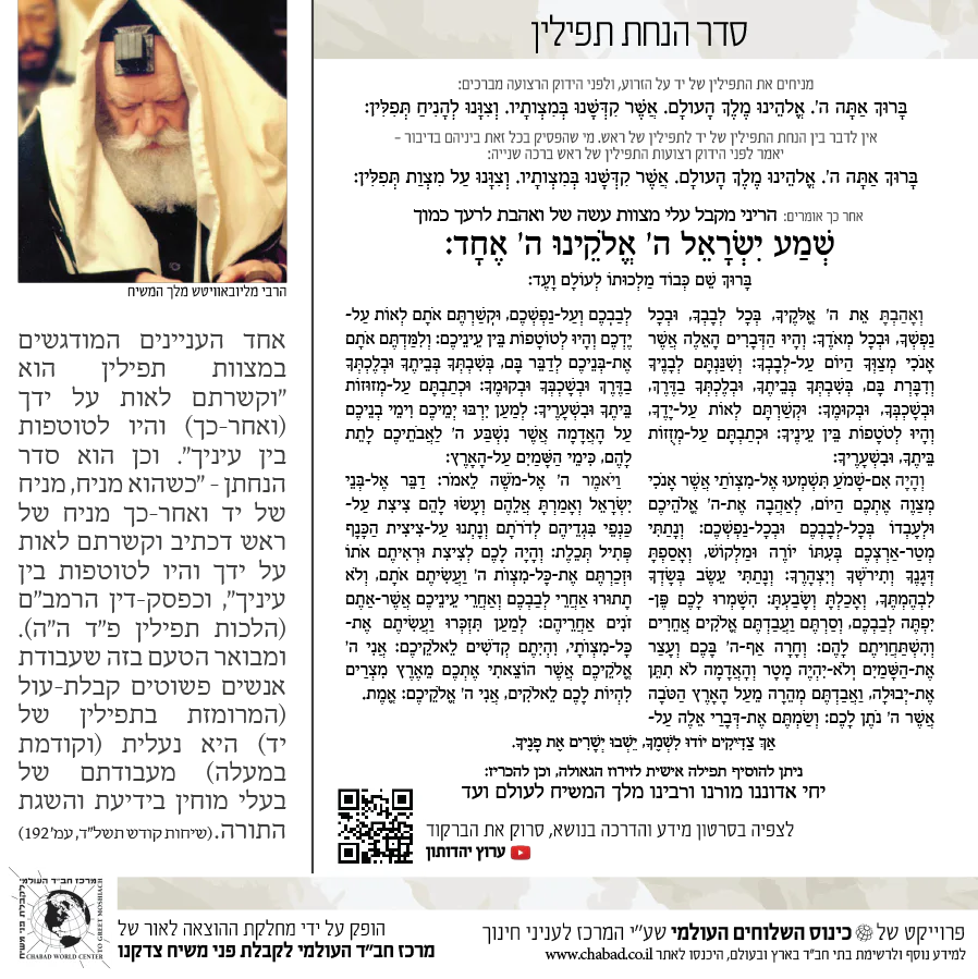 תמונת מוצר 4