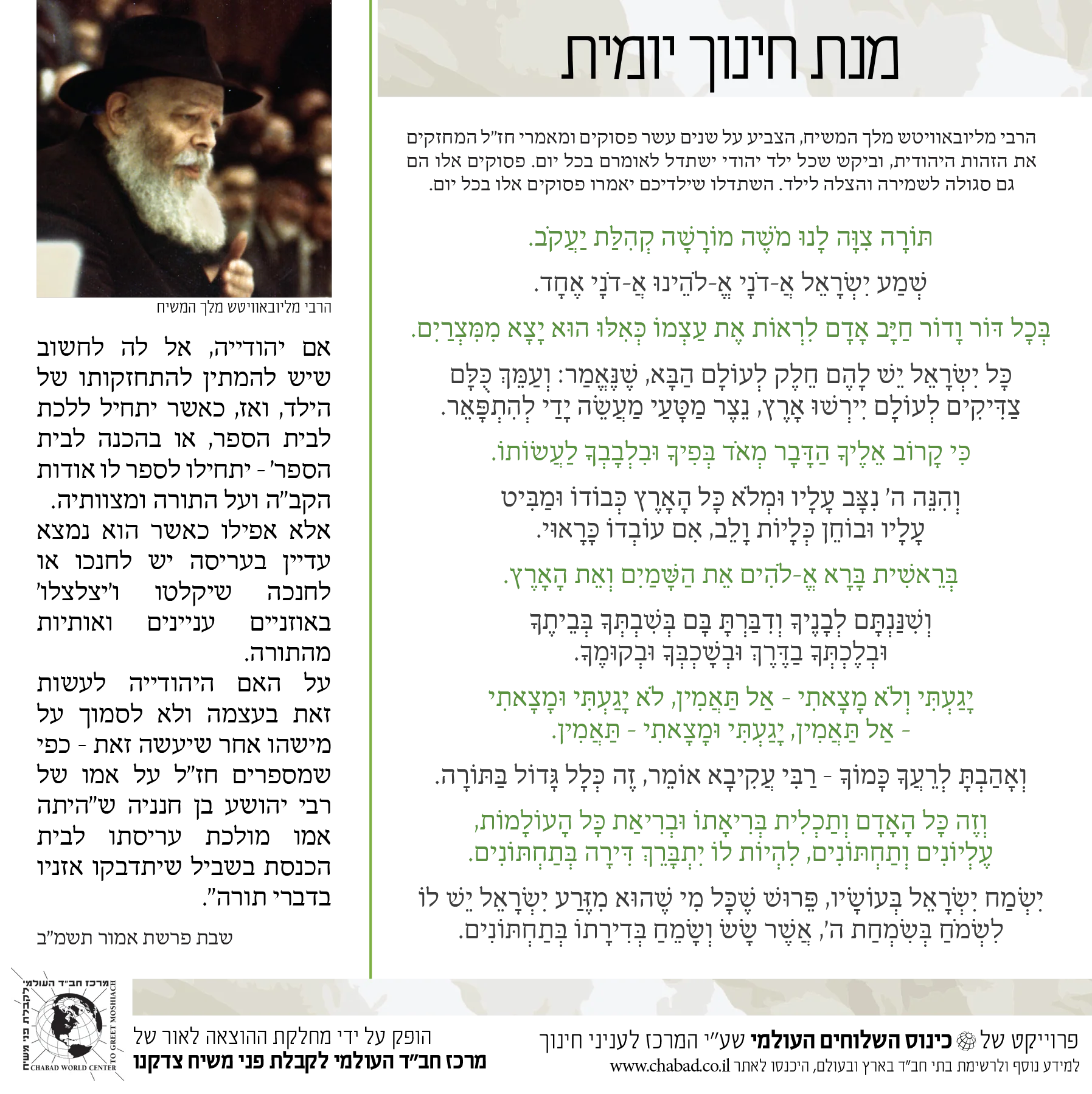 תמונת מוצר 4