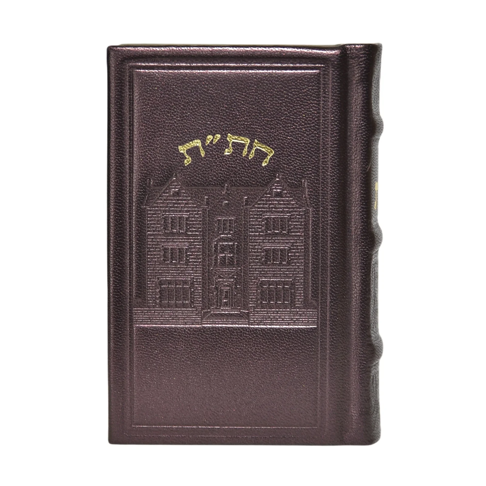 תמונת מוצר 4