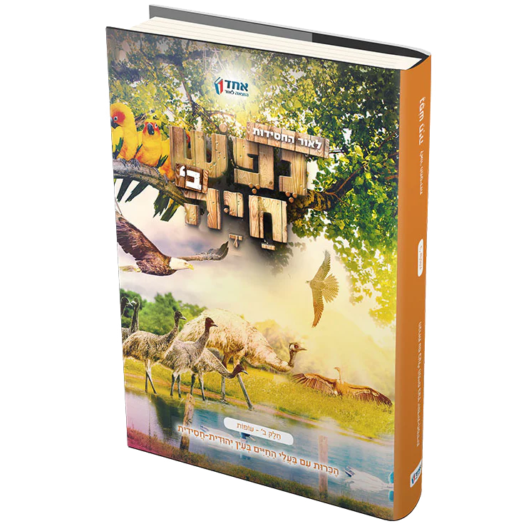 תמונת מוצר 4