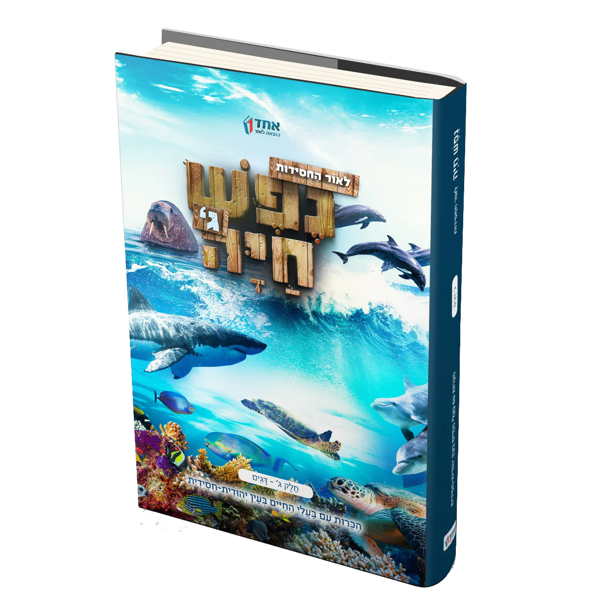 תמונת מוצר 5
