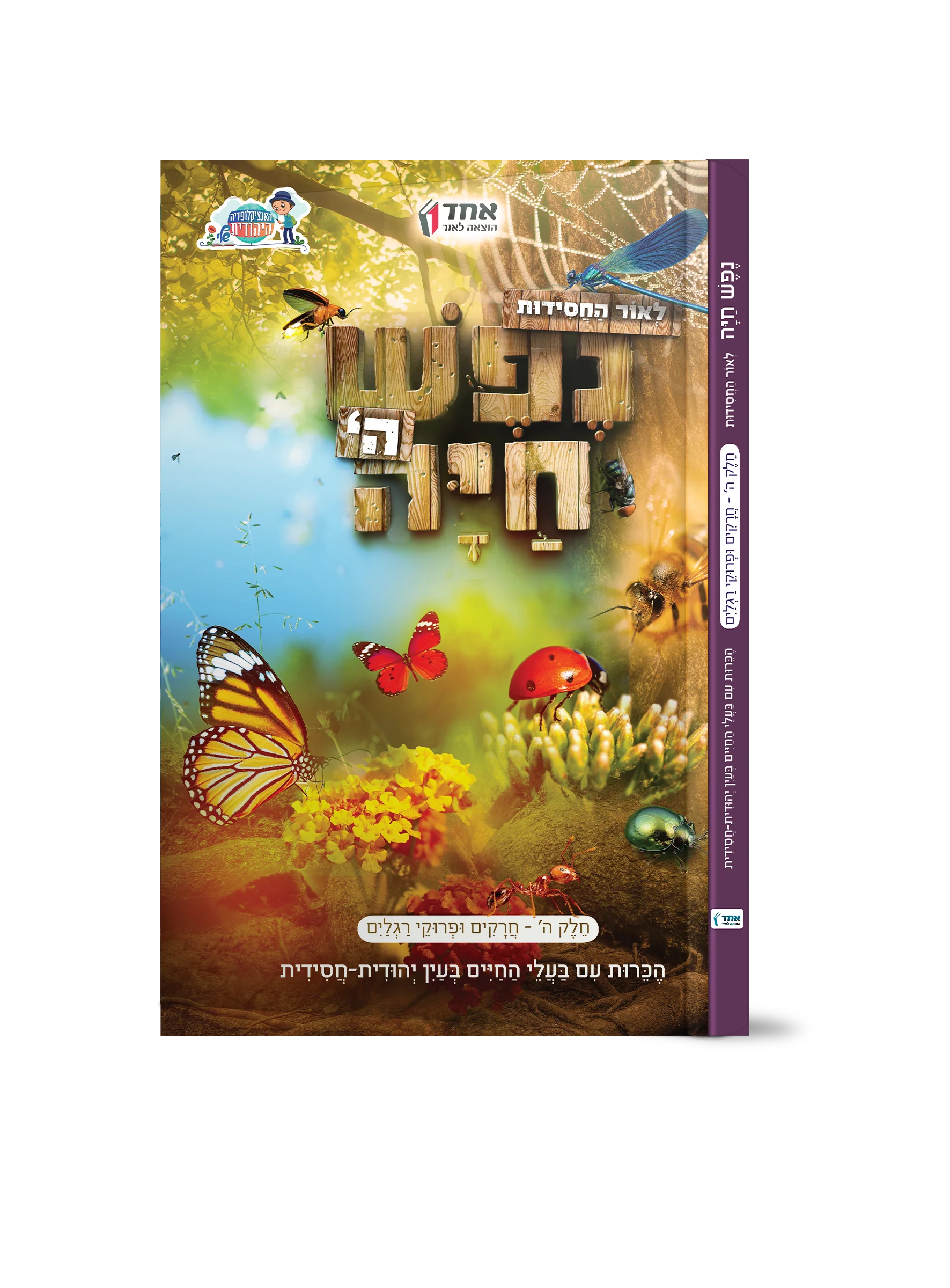 תמונת מוצר 7